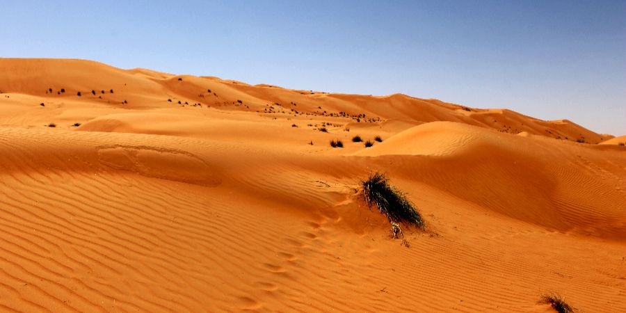 Dune rosse di Wahiba sands